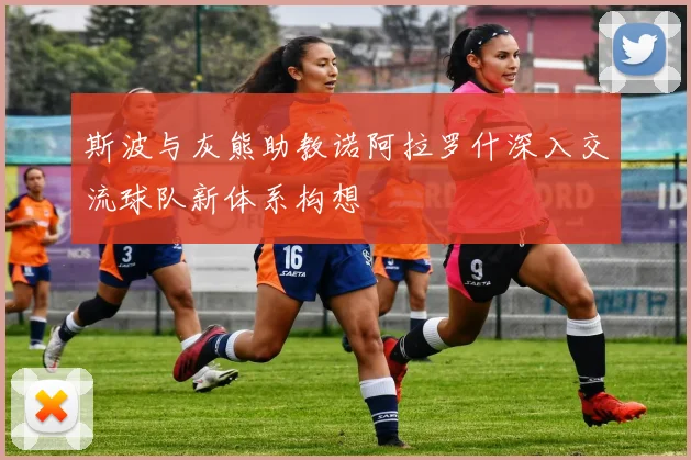 斯波与灰熊助教诺阿拉罗什深入交流球队新体系构想