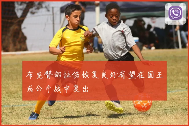 布克臀部拉伤恢复良好有望在国王或公牛战中复出