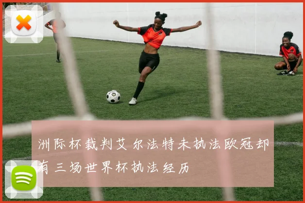 洲际杯裁判艾尔法特未执法欧冠却有三场世界杯执法经历