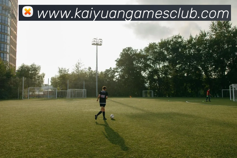 开元棋牌平台生态图